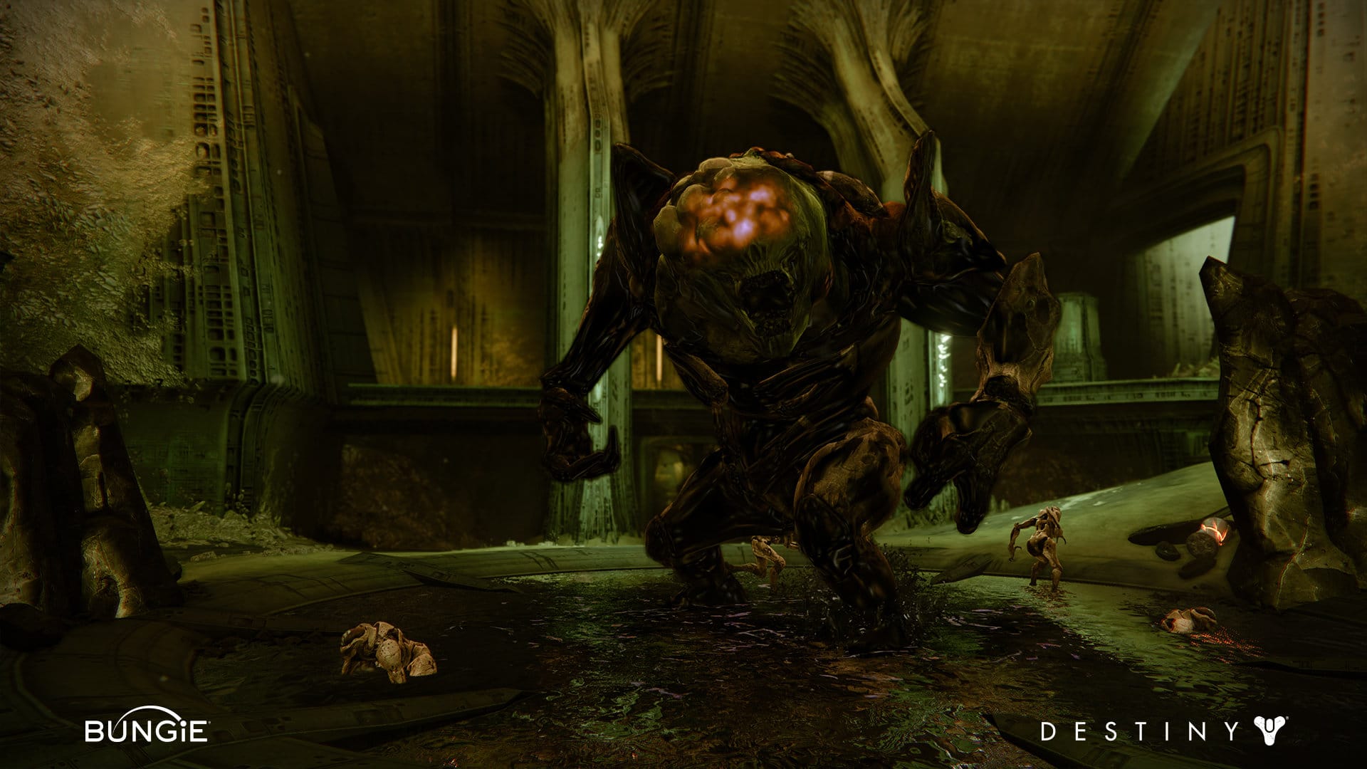 mike-stavrides-ttk-007