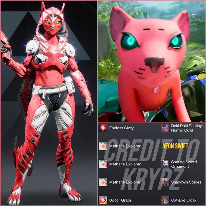 Arte gatuno 1